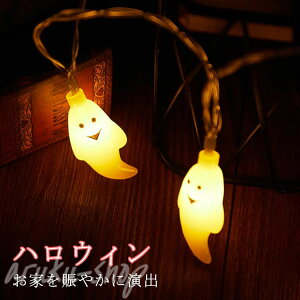 20Zbg nEB O nEBt LEDCg C~l[V  ݂艺 v[h LEDXgOCg H ݂ nEB[ drd dr  