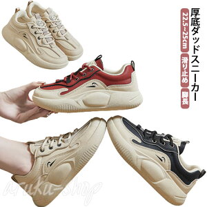 Xj[J[ _bh Xj[J[ fB[X  Xj[J[ JWAV[Y EH[LOV[Y C V[Y gAbv r IV ₷ ɂ ~ 22.5.0cm-25.