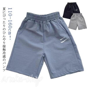 ڐG⊴ n[tpc bV pc LbY XEFbgpc Y{ Y{ ct  Zp oXP TbJ[ 110  ACXVN X|[c hC j̎q w ۈ牀 V 