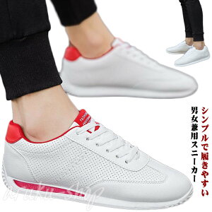 Xj[J[ Y fB[X Xj[J[ U[C JWAV[Y EH[LO ₷ y ʋC t  H E n Vv i 傫TCY jp ~ j 