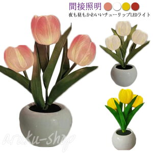 CeA  t LEDCg  `[bv a `[bv|bg   [hCg iCgCg t[Cg ԐڏƖ ԑ LEDt[ dr EFfBO