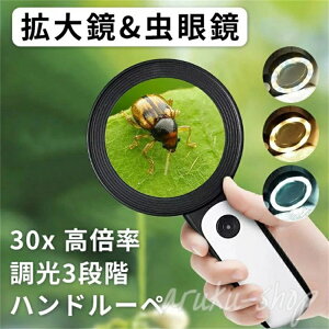 18LEDCgt 莝[y [y 3iK g僌Y ₷ { [y ዾ 30{ LEDCgt g勾 {
