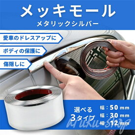 メッキモール 車 メッキテープ 粘着あり ボディ ドア モール プロテクター シール テープ モール シルバー メタリック 保護 パッド 内装 外装 ドレスアップ アイテム 傷隠し キズ隠し 傷防止 両面テープ付 銀色 艶 ツヤ カー用品 車用