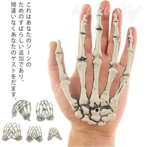 [̎ [  KCRc̎ vOCfR[V nEB  XJ hN [ A XPg IuWF G z[fBXvC nEB KCRc | u