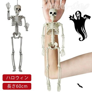 KCRc nEB   XJ ǂ hN  [ p XPg 60cm  ݂  p[eB[ w Xܑ