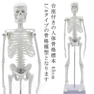 l̖͌^ 45cm l̍i͌^ iW{ ғ  X^h  45cm 1/4 f  i ͌^ [ tBMA Sgi͌^ l̖͌^ zCg t