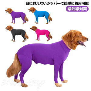 ^ BWbp[ Wbp[t Jo[I[  ̕ тh O΍ \ {[_[R[ uh[ S[fg[o[ CtWPbg v[g 