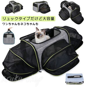 ybgL[obO Lp ybgL[bN ybgobO ybgbN ybgL[ bN obO L   ˂ Ck lR s ʉ@ a@ o y ЊQ o