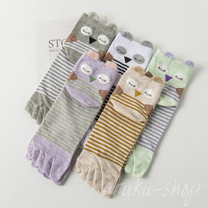 ܖ{w\bNX 5{wC ܖ{wC 5{w\bNX fB[X 킢  N[ EȂ  X|[c L  R hL Mtg v[g