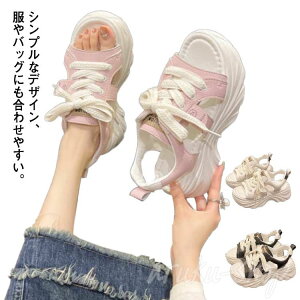 X|[cT_ Xj[J[ X|T T_  ʋC SR C ₷ y I[vgD fB[X ɂ PUU[ ʊw ʋ 5cmq[   sN zC