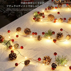 NX}X LED Cg ڂ C~l[V d 2m 20 XgOCg K[hCg  I[ig NX}Xc[ fR[V  t dr 킢 