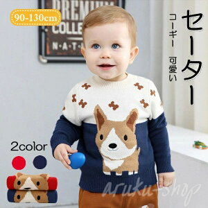 NX}XZ[^[ q LbY R[M[ Z[^[ 2color  NX}X 㒅 gbvX  ̎q j̎q LbYp qǂ H~ h ۉ Cxg o  90-130cm