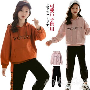 tH WjA pW} _Xߑ q ㉺Zbg N X|[cEFA Opc  LbY ̎q