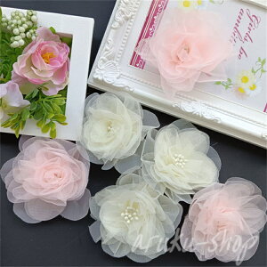   ԃ`[t I[KW[t[`[t  nhCh | ԕ I[KW[Ԃтp[c a7cm