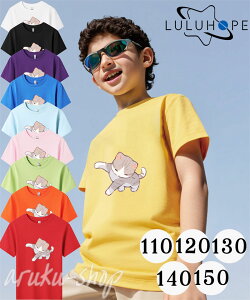 ySSԌE10%Itz LbY TVc  킢   tVc  LbY qǂ TVc ˂ lR L cat TVc LbY  gbvX q q j̎q gbvX ĕ q 