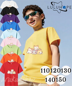 LbY TVc  킢   tVc  LbY qǂ TVc ˂ lR L cat TVc LbY  gbvX q q j̎q gbvX ĕ q ̎q 130cm w wN 