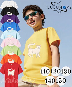 ySSԌE10%Itz LbY TVc  킢   tVc  LbY qǂ TVc ˂ lR L cat TVc LbY  gbvX q q j̎q gbvX ĕ q 