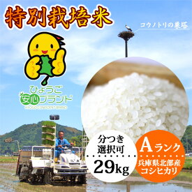 玄米（29kg）白米 兵庫県産コシヒカリ 特別栽培米 有機肥料 令和5年産【当日精米】 送料無料