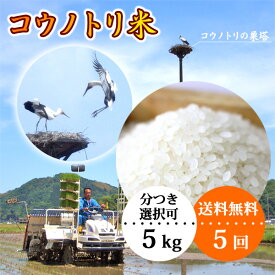 【定期購入】 お米5kg×5回 玄米 白米 コウノトリ米 令和5年産【当日精米】 送料無料