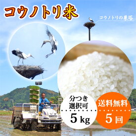楽天市場 ドジョウ 餌 白米 米 雑穀 食品の通販 楽天市場 ドジョウ 餌 白米 米 雑穀 食品の通販