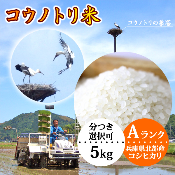 こうのとり米（5kg）玄米・白米 コウノトリ育む農法 令和4年産 兵庫県産 コシヒカリ送料無料