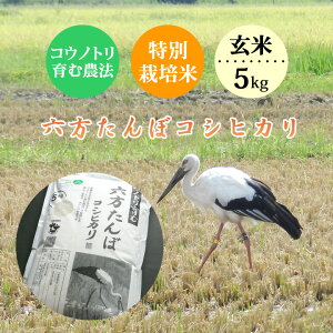 V  5kg  _ƒ Zڂ̃RVqJ REmgޔ_@ ߘa7NY ɌY 