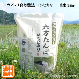 こうのとり米 白米（5kg）六方たんぼのコシヒカリ コウノトリ育む農法 令和5年産 兵庫県産 送料無料
