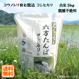 こうのとり米 白米（5kg）農薬不使用 六方たんぼのコシヒカリ コウノトリ育む農法 令和5年産 兵庫県産 送料無料