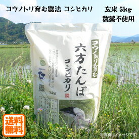 こうのとり米 玄米（5kg）農薬不使用 六方たんぼのコシヒカリ コウノトリ育む農法 令和5年産 兵庫県産 送料無料