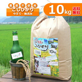 無洗米 お米 10kg 白米 今ずり米 農薬不使用 コシヒカリ 令和7年産 送料無料