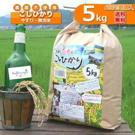 【定期購入】無洗米 お米 5kgx6回 玄米 白米 今ずり米 農薬不使用 コシヒカリ 令7年産 送料無料