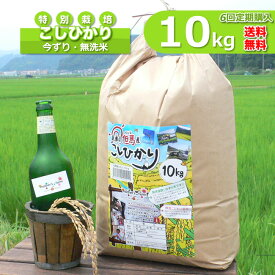 【定期購入】10kg×6回 白米 今ずり米 無洗米 特別栽培米 コシヒカリ 令和5年産 送料無料