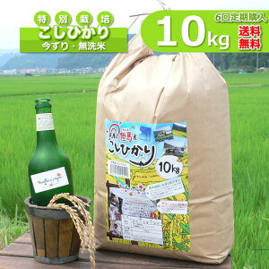 ywzV   10kg×6   ʍ͔| RVqJ ߘa7NY 