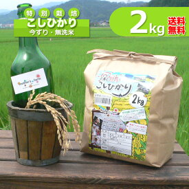 無洗米（2kg）コシヒカリ 白米 今ずり米 特別栽培米 兵庫県 但馬産 令和5年産 送料無料