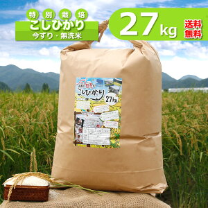 V   27kg RVqJ   ʍ͔| Ɍ AnY ߘa7NY 