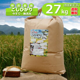 【定期購入】無洗米 お米 27kgx6回 白米 今ずり米 特別栽培米 コシヒカリ 令和7年産 送料無料