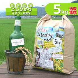 無洗米（5kg）コシヒカリ 白米 今ずり米 特別栽培米 兵庫県 但馬産 令和5年産 送料無料