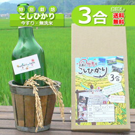 無洗米（3合）コシヒカリ お試し 白米 今ずり米 特別栽培米 令和5年産 ポイント消化 送料無料