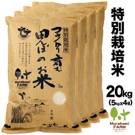 送料無料 特別栽培米（20kg）玄米・白米 コウノトリ育む田んぼのお米 令和5年産 兵庫県産 コシヒカリ【ひょうご安心ブランド認定】