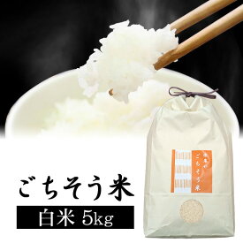 コシヒカリ（5kg）白米 ごちそう米 令和5年産 お米【楽農や】送料無料