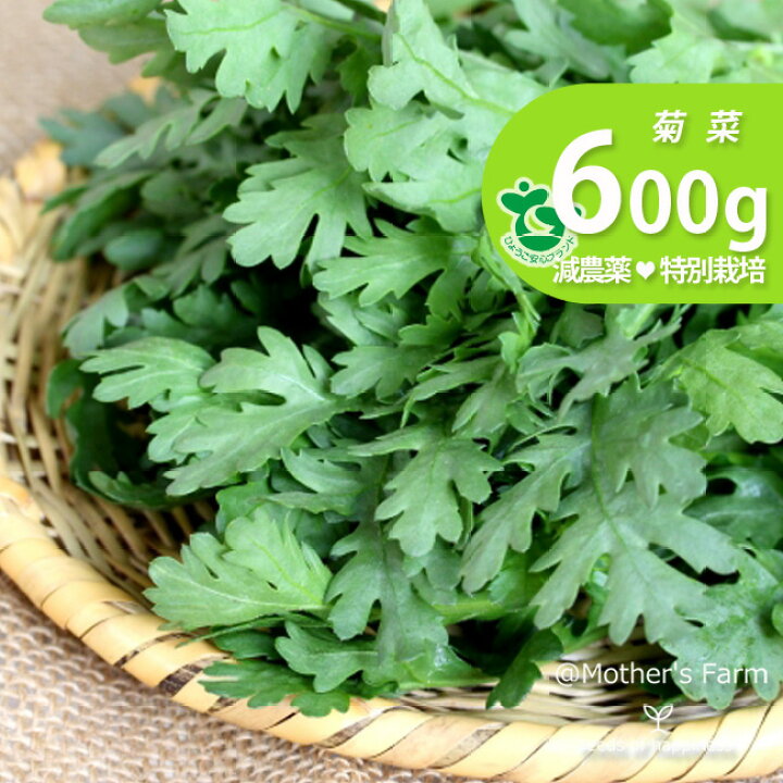 楽天市場 菊菜 春菊 農薬90 カット 特別栽培 600g あるまま