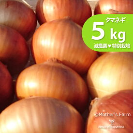 楽天市場 玉ねぎ 保存 ネット 5kgの通販
