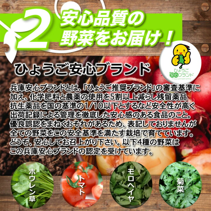 楽天市場】菊菜 春菊 農薬90％カット 特別栽培【2kg】 : あるまま