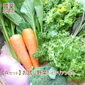 父の日 訳あり 野菜 詰め合わせ お試しセット 農薬不使用 不揃い 送料無料