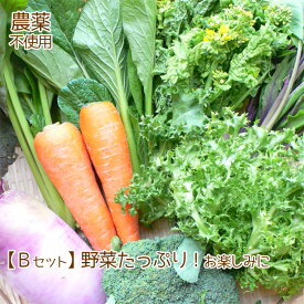 父の日 訳あり 野菜 詰め合わせ 納得セット 農薬不使用 不揃い 送料無料