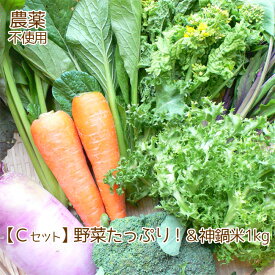 母の日 訳あり 野菜 お米 詰め合わせ 満足セット 農薬不使用 不揃い 送料無料