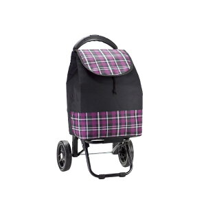 【組立動画あり】 ショッピングカート お買い物カート ショッピングキャリー キャリーカート 買い物 保冷 保温 軽量 高さ調節 疲れにくい 折りたたみ コンパクト 静か おしゃれ 人気 50代 60