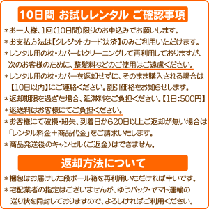 【10日間!お試しレンタル】小豆枕