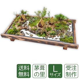 楽天市場 ミニ盆栽ミニ庭園 盆栽の通販