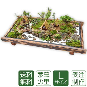 �~�� �~�i �~�j�뉀 �����̗�L ��������